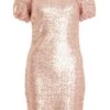 Pink Sequin Puff Sleeve Dress