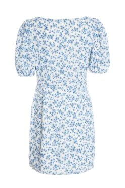 Blue Ditsy Floral Bodycon Mini Dress -Glamourista 00100033133 ZB
