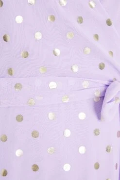 Curve Lilac Spot Print Midi Dress 11 Curve Lilac Spot Print Midi Dress -Glamourista 00100033188 ZS