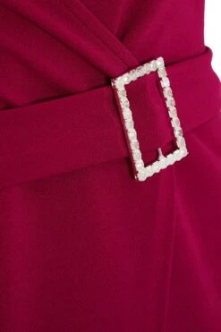 Curve Purple Diamante Buckle Midi Dress -Glamourista 00100035425 ZS