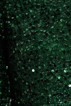 Bottle Green Sequin One Shoulder Mini Dress -Glamourista 00100035761 ZS