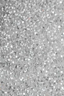 Grey Embellished Split Leg Maxi Dress -Glamourista 00100035919 ZS