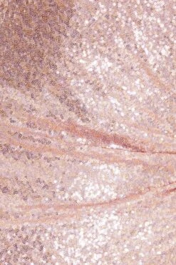 Blush Pink Sequin Ruched Maxi Dress -Glamourista 00100035947 ZS