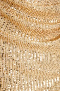 Petite Gold Sequin Ruched Maxi Dress -Glamourista 00100036119 ZS