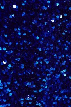 Royal Blue Sequin Bodycon Mini Dress -Glamourista 00100036203 ZS