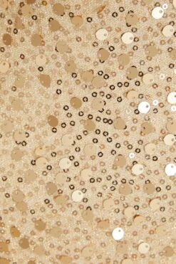 Petite Gold Sequin Bardot Midi Dress -Glamourista 00100036303 ZS