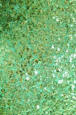 Green Sequin Ruched Bodycon Maxi Dress -Glamourista 00100036822 ZS