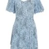 Blue Animal Print Skater Dress