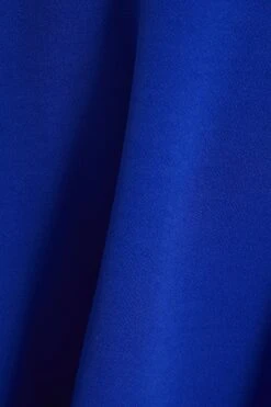 Curve Royal Blue Bardot Skater Dress -Glamourista 00100037279 ZS