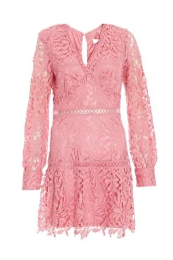 Pink Lace Skater Dress
