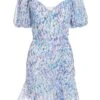 Blue Floral Puff Sleeve Mini Dress