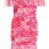 Petite Pink Floral Ruched Bardot Mini Dress